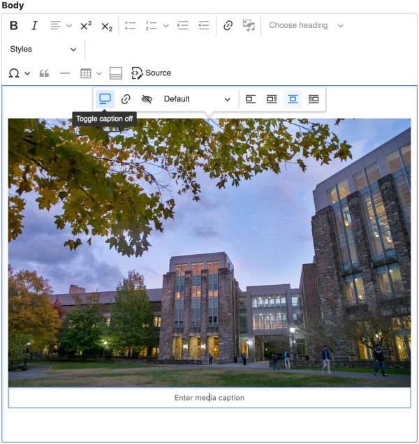 WYSIWYG image caption dialog box